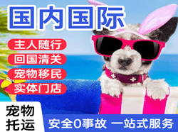 舟山普陀山机场邮寄国际宠物托运 【国